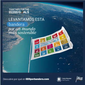 ODS por bandera